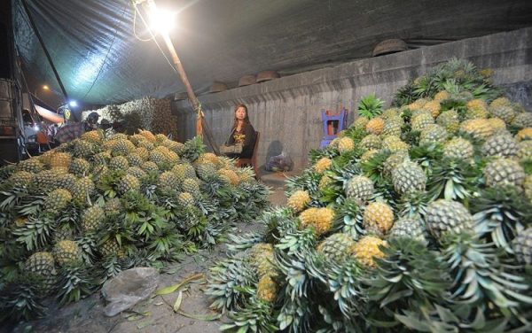Hoa quả tươi ở chợ trái cây Long Biên