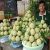Thương hiệu na Chi Lăng