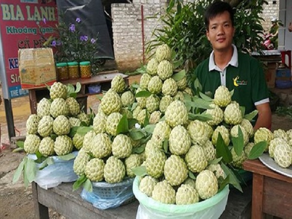 Thương hiệu na Chi Lăng