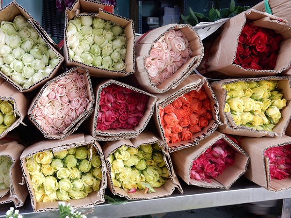 thị trường hoa tươi