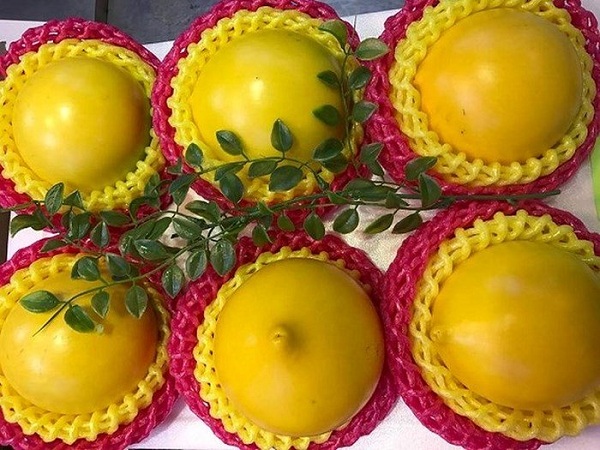 Vú sữa vỏ vàng