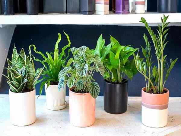 Top 5 mặt hàng lý tưởng để kinh doanh vốn ít