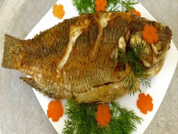 Các món ăn từ cá rô phi hấp dẫn cho cả nhà