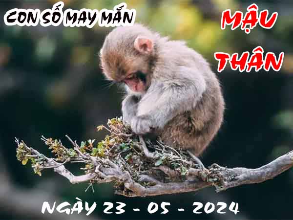 Dự đoán con số may mắn tuổi Mậu Thân ngày 23/6/2024 hôm nay