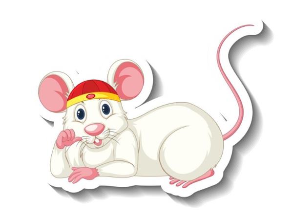 Con số tài lộc tuổi Tý ngày 27/2/2025 may mắn, thịnh vượng Con số tài lộc tuổi Tý ngày 27/2/2025 may mắn, thịnh vượng