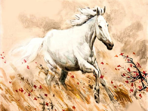 Ngày hôm nay 14/3/2025 Nhâm Ngọ như thế nào?