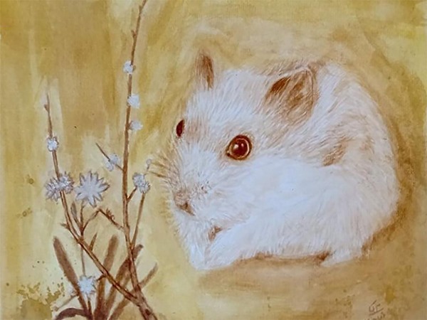 Con số may mắn tuổi Giáp Tý phúc lộc vượt vũ môn