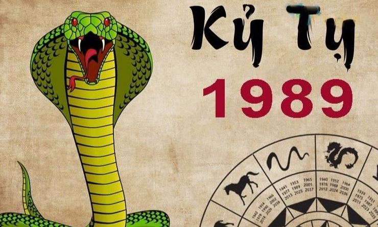 Tổng quan tử vi tuổi Kỷ Tỵ ngày 20/11/2025